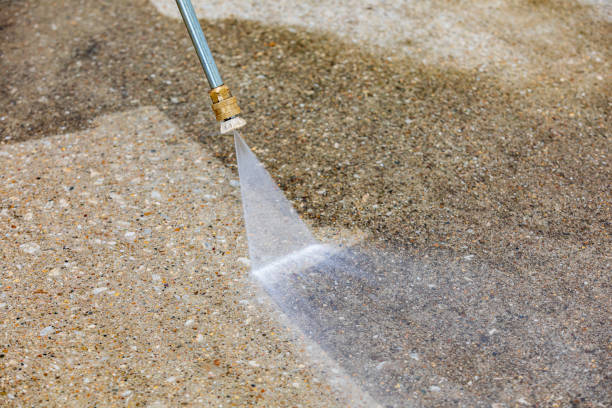 Best Animal Enclosure Cleaning  in Westway, TX