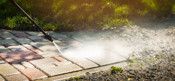 Solar Panel Cleaning in Westway, TX